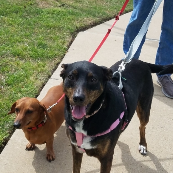 Meet your Posher, Susan - Picture 7 of 8